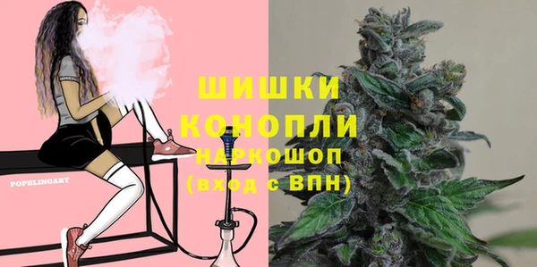 ГАЛЛЮЦИНОГЕННЫЕ ГРИБЫ Кукмор