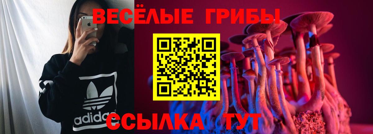 Сертолово  наркота  Вход с VPN  Галлюциногенные грибы Cubensis 