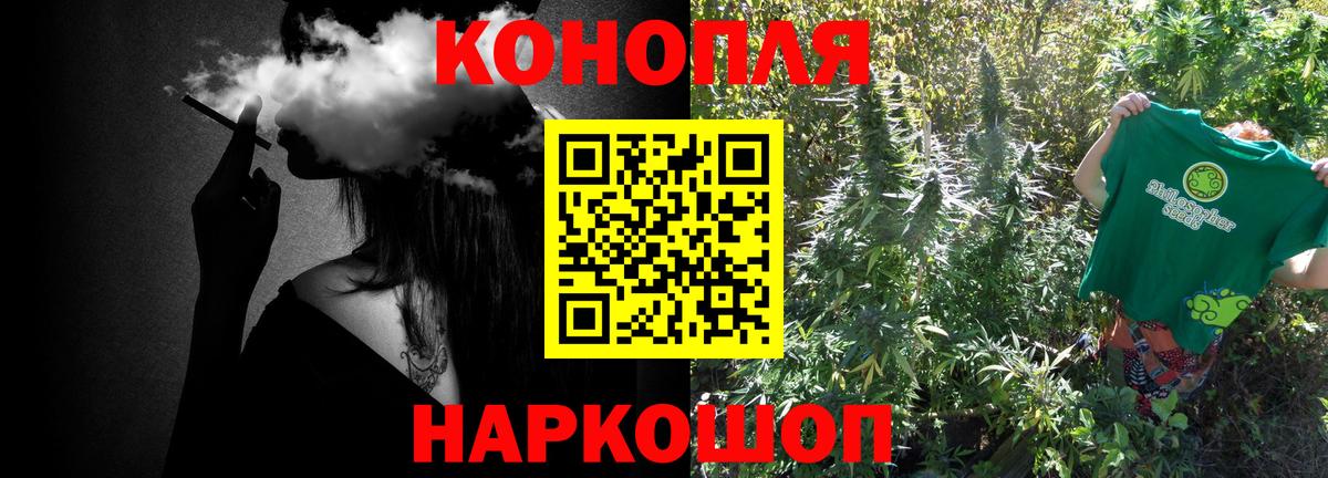 Конопля гибрид Сертолово